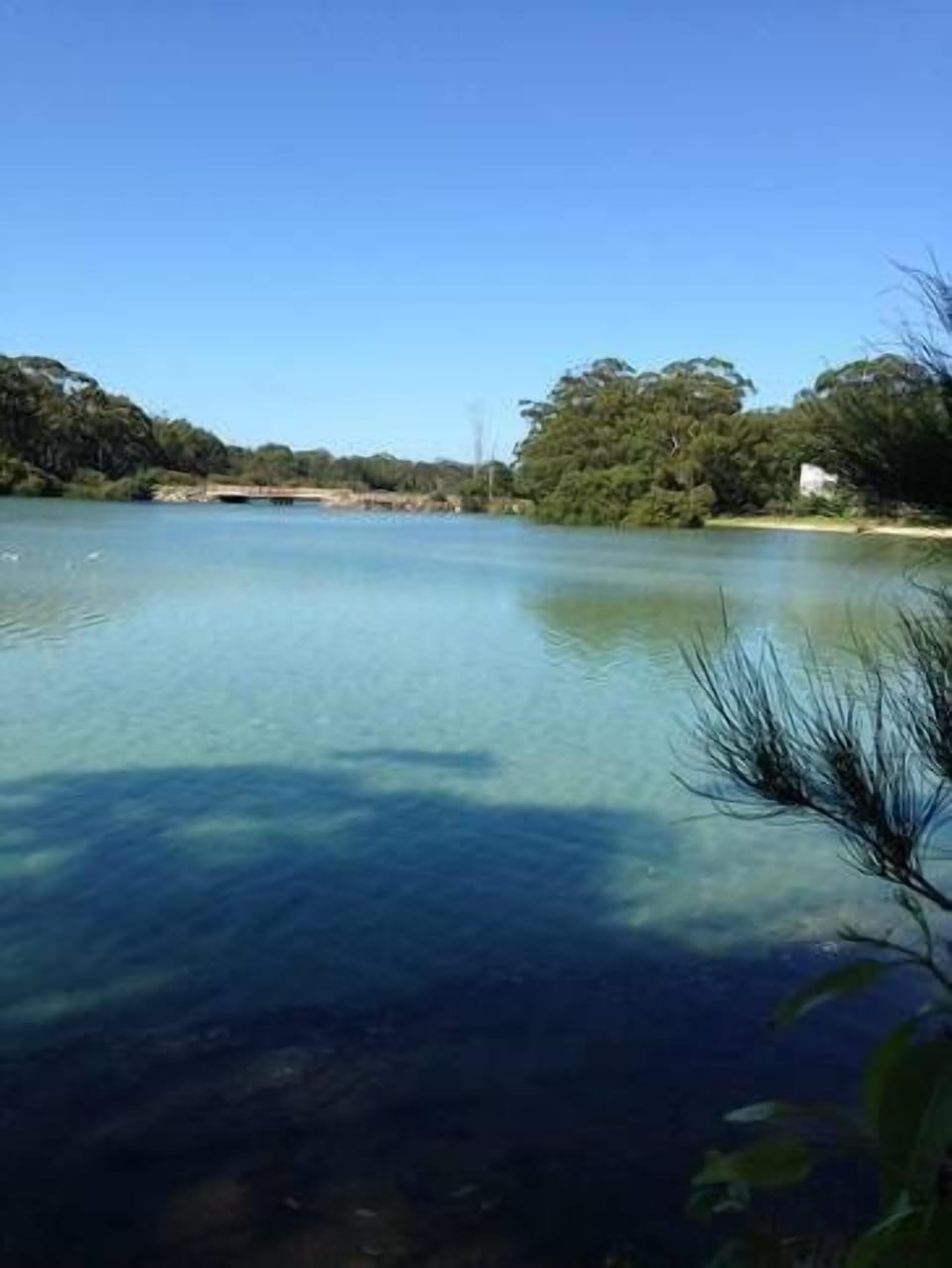 Moona Moona Creek