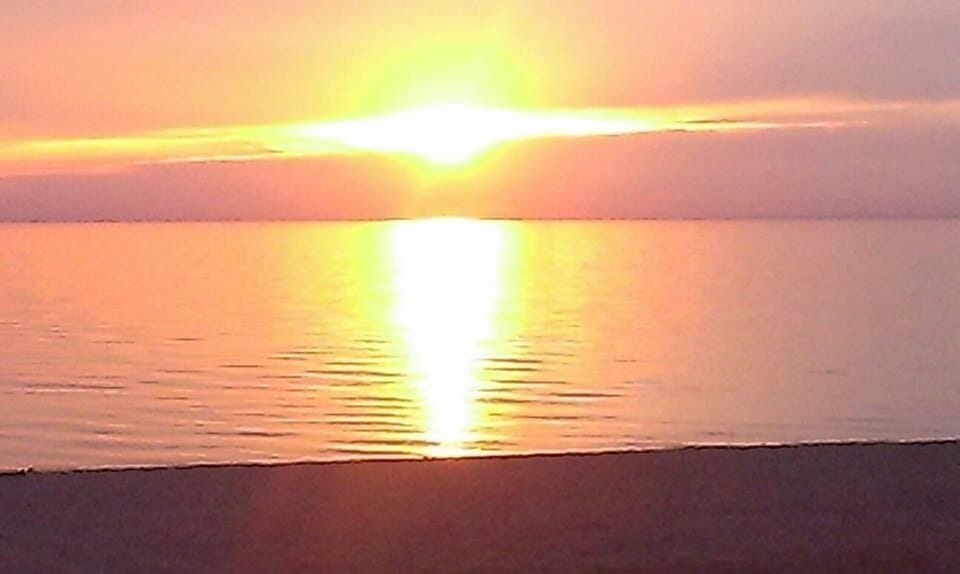 hello sunshine!