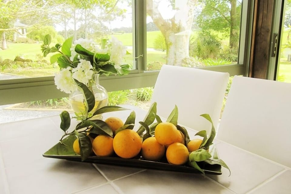 Oranges fresh from the tree