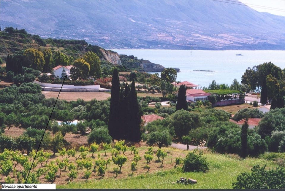 Nerissa apartments rural area
