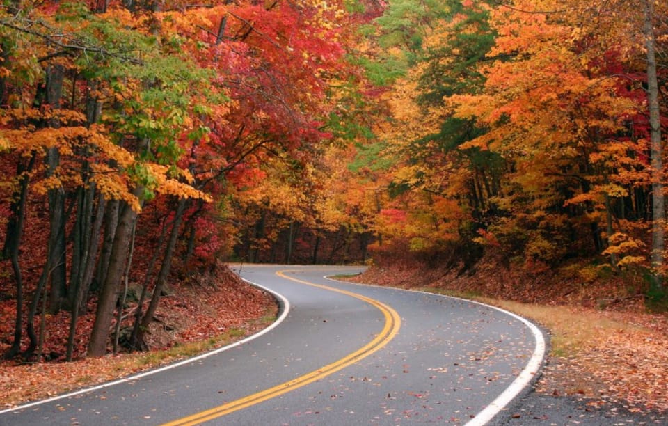 Beauty In the Smoky Mountains