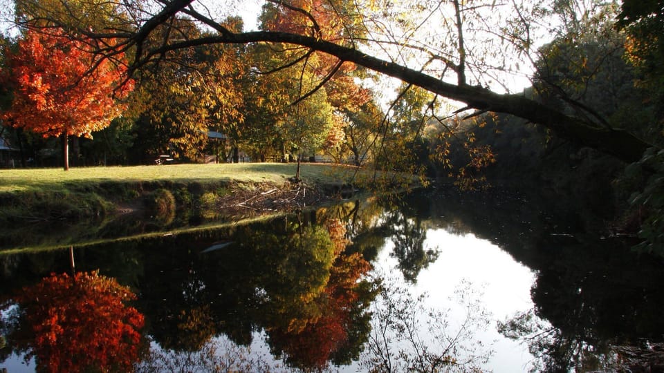 On the Jamieson in Autumn
