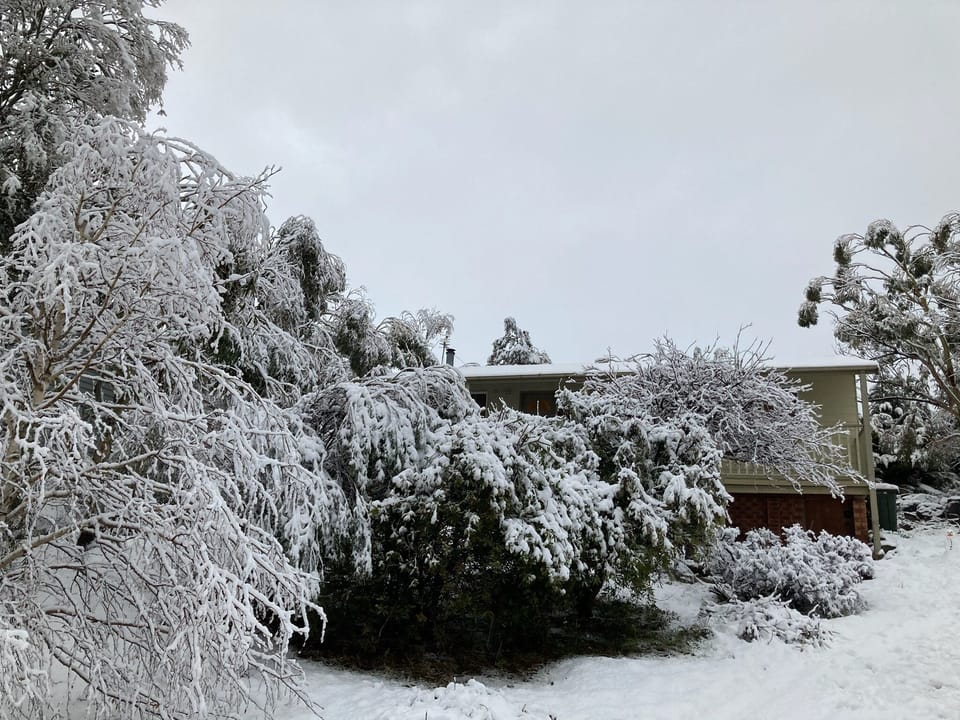 And yes it can snow at Wildenmann Cottage. July 2020