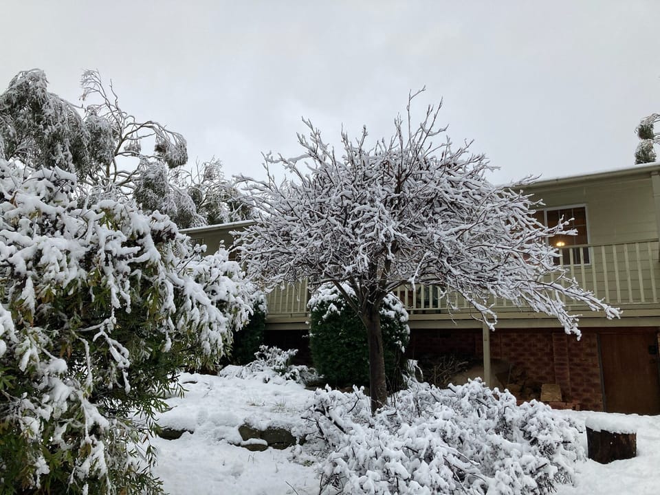 July 2020 Yes it can snow at Wildenmann Cottage
