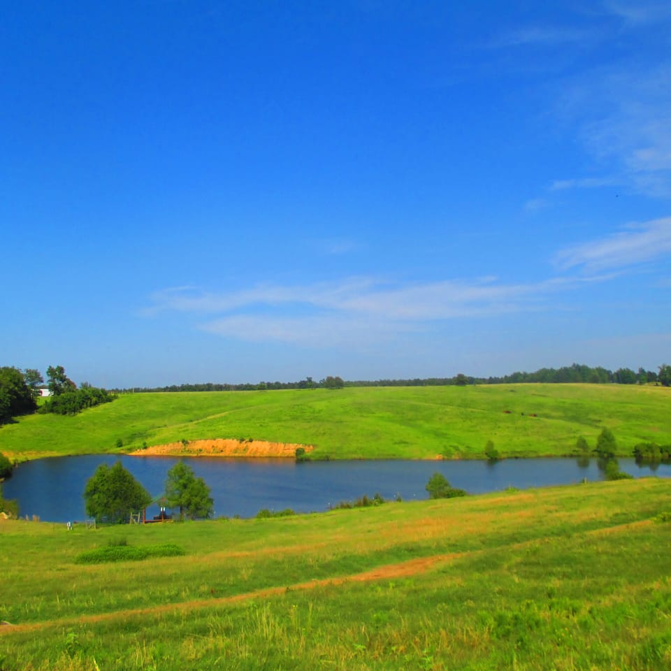 Wilson Ranch Pastures and view of one of the fishing ponds.