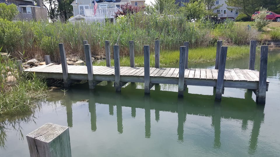Pier Dock. This is a shallow water dock adjacent to light watercraft boat launch