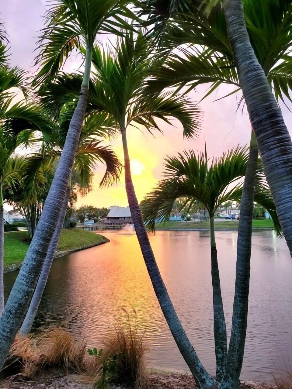 Beautiful sunset and lagoon view from bench just outside of condo. 