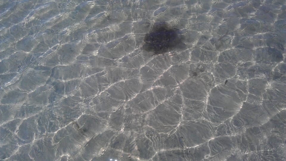 Crystal clear water, tested and acceptable for summer, some other beaches ???