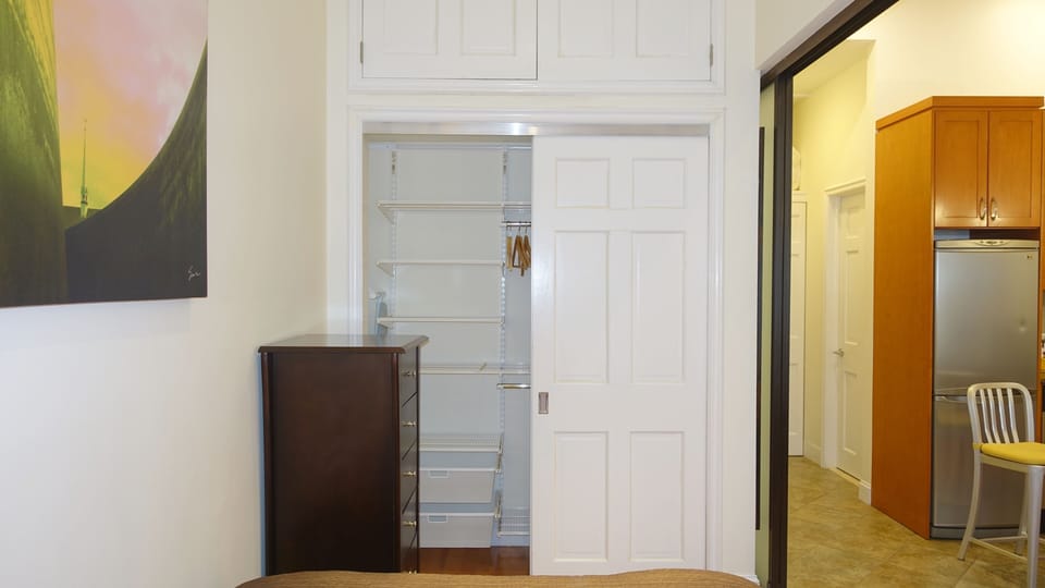 Bedroom Closet & Refrigerator