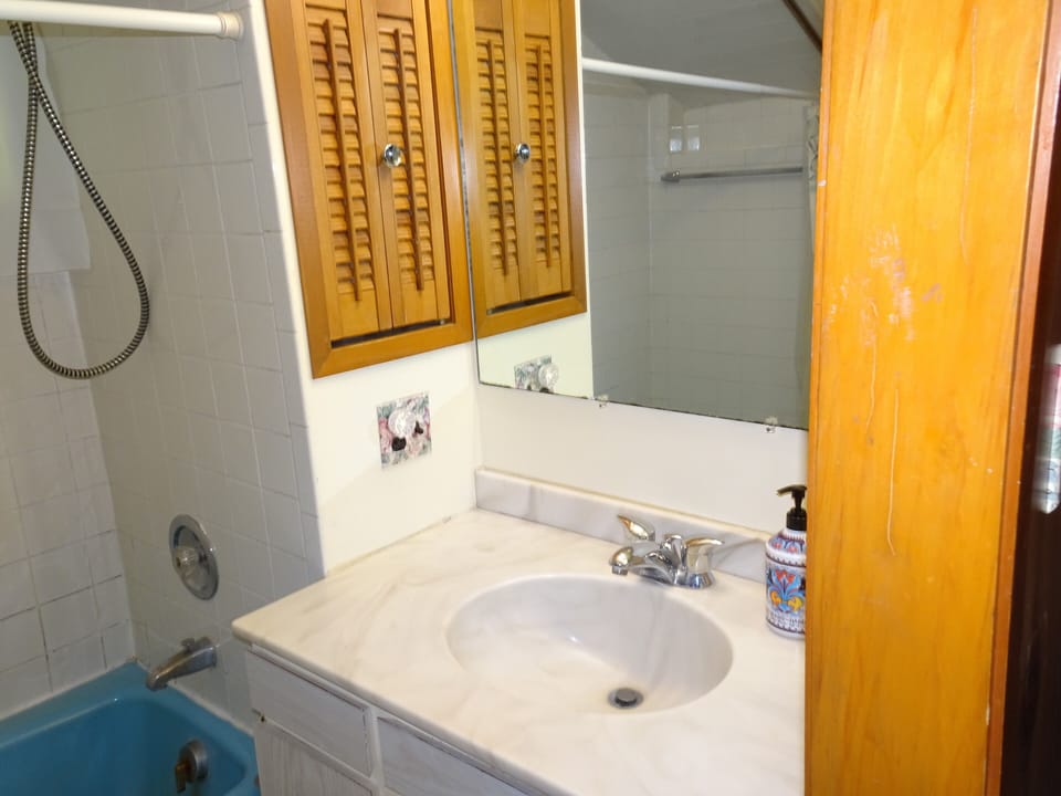 Private Master Bathroom