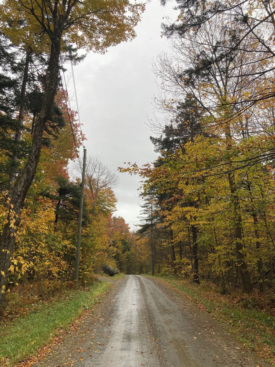 Road to house