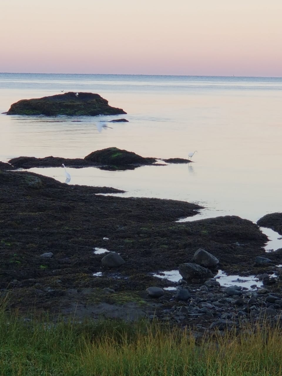 Shore line, Woodmont