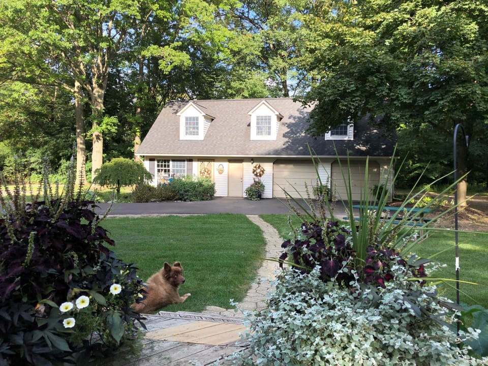 On a Sunny Summer Afternoon!