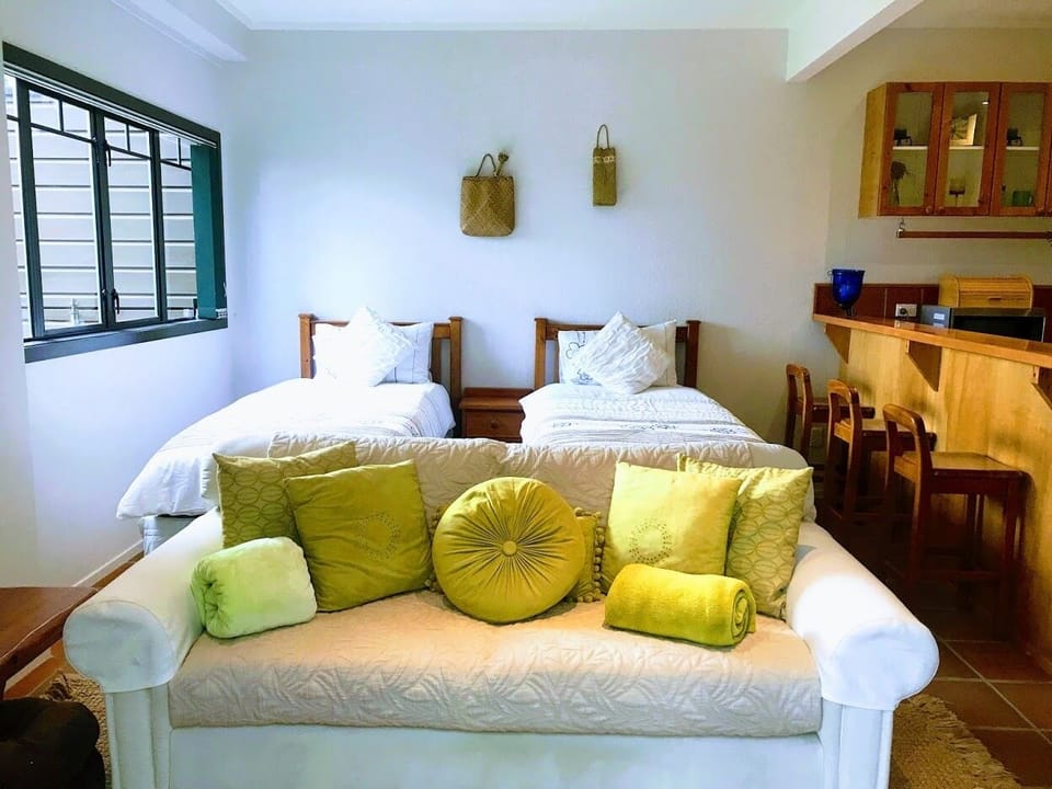 Lower level; Bedroom and couch area