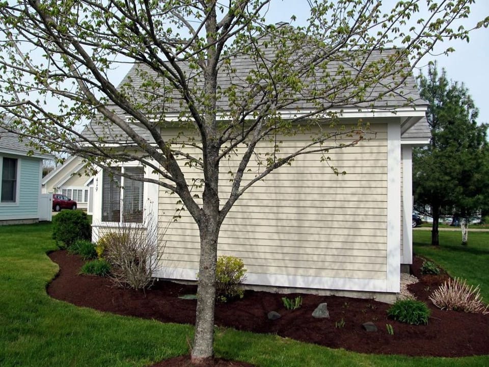 Side of Cottage