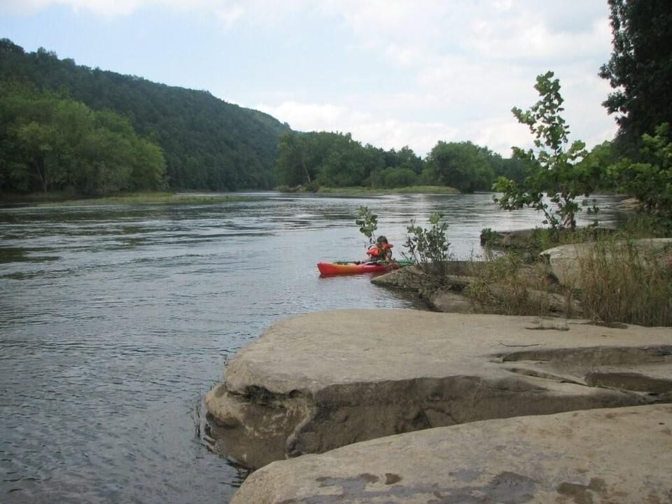 On River Bank Looking North