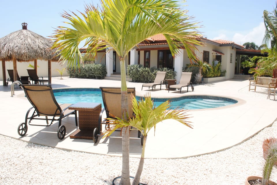 The Pool Area