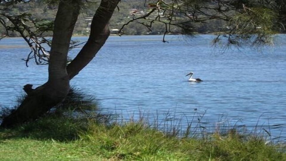 Lake at rear
