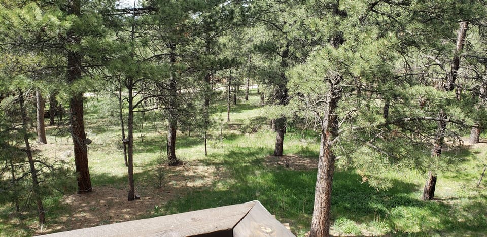 View of back yard from top deck