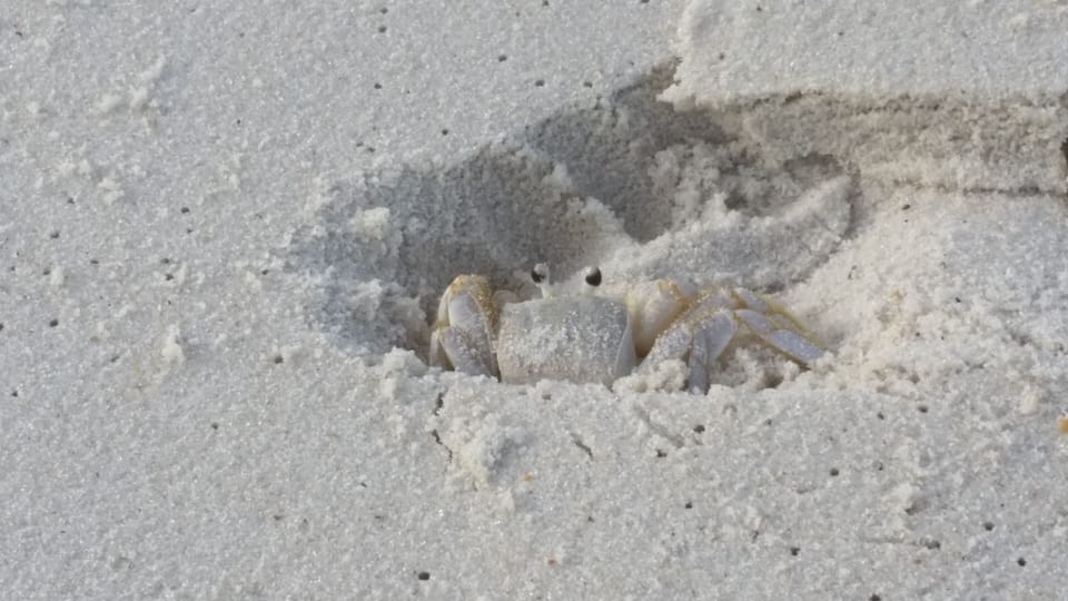 Hi there!