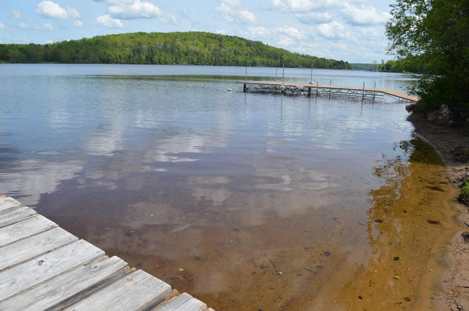 wade in, view from dock looking south.