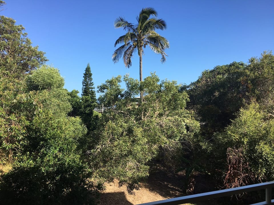 The view from the rear deck.