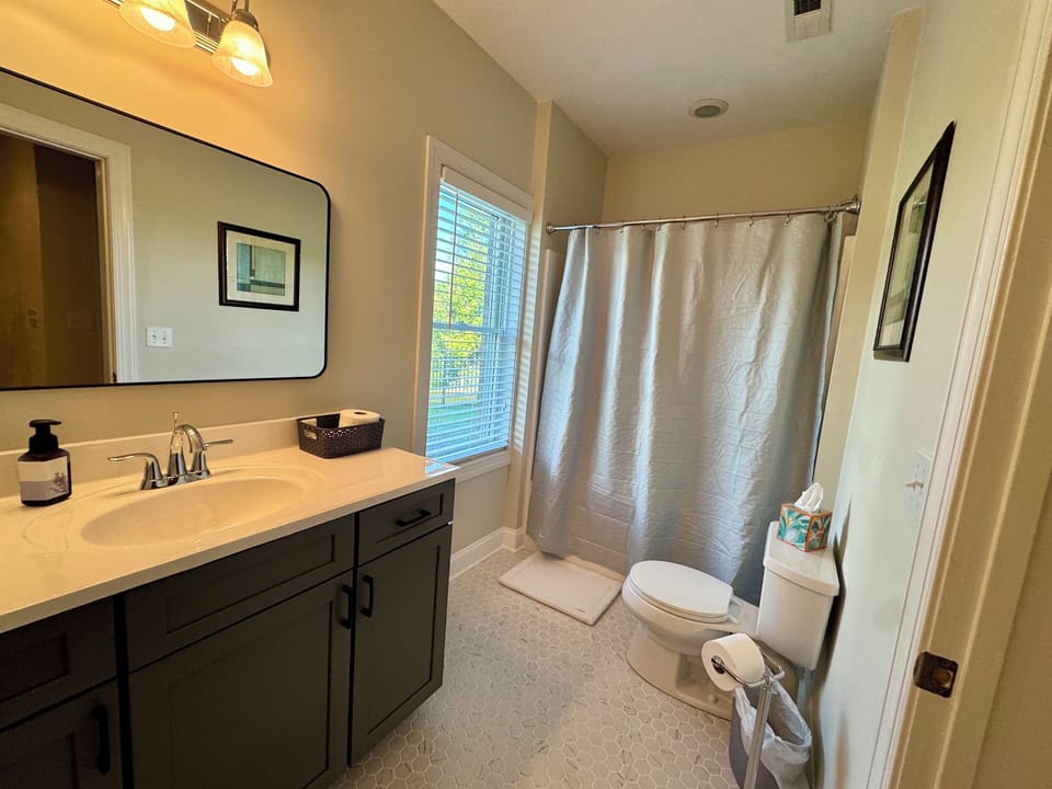 Lower Level Bathroom