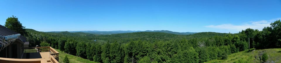 The full panoramic view