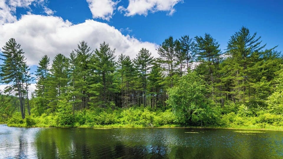 Tunk Lake