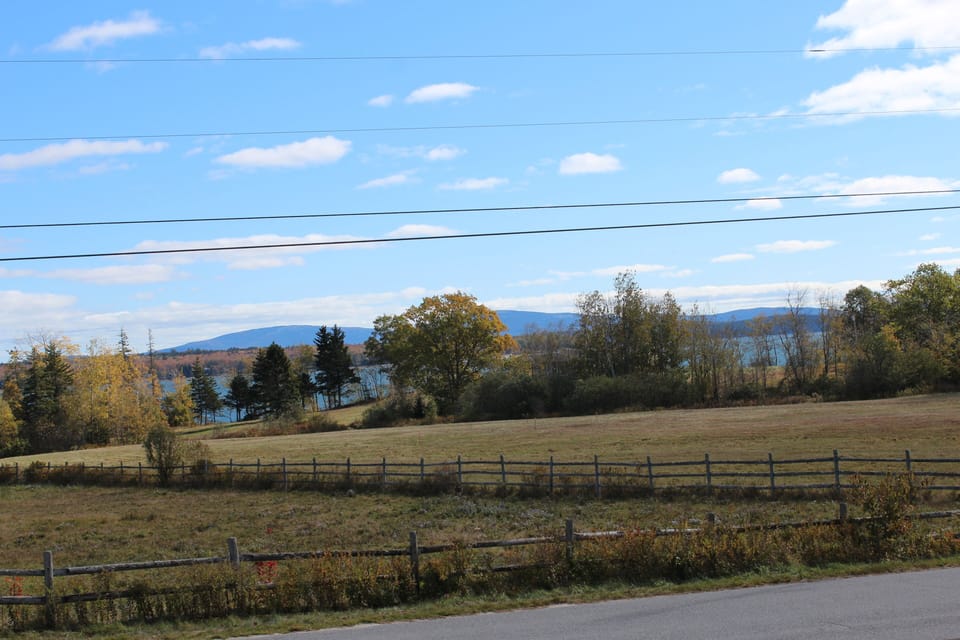 View from the Front of the House