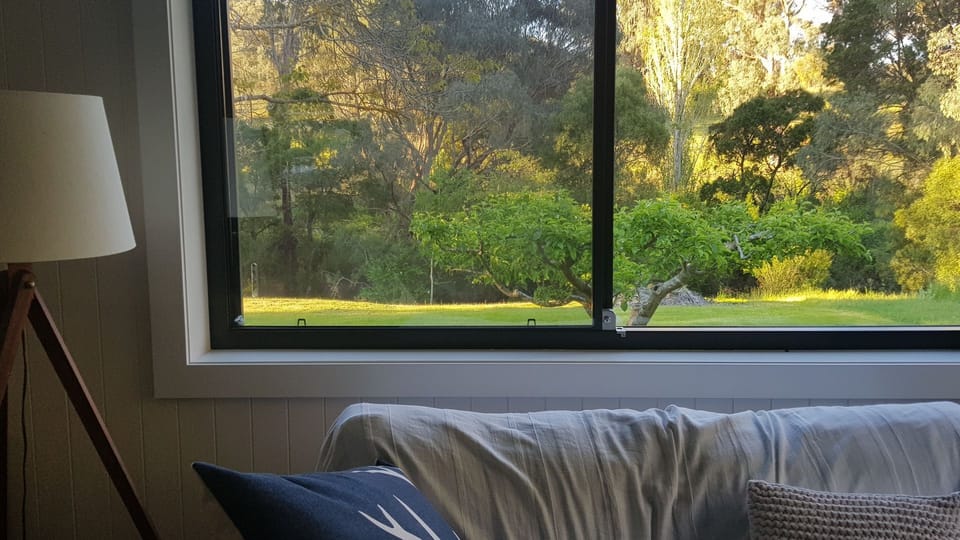 Views from the living areas.