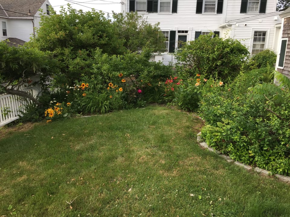Cottage yard