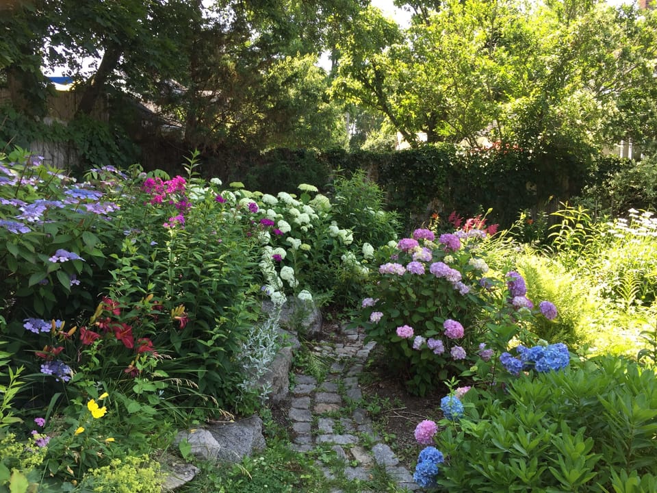 Our beautiful seasonal gardens