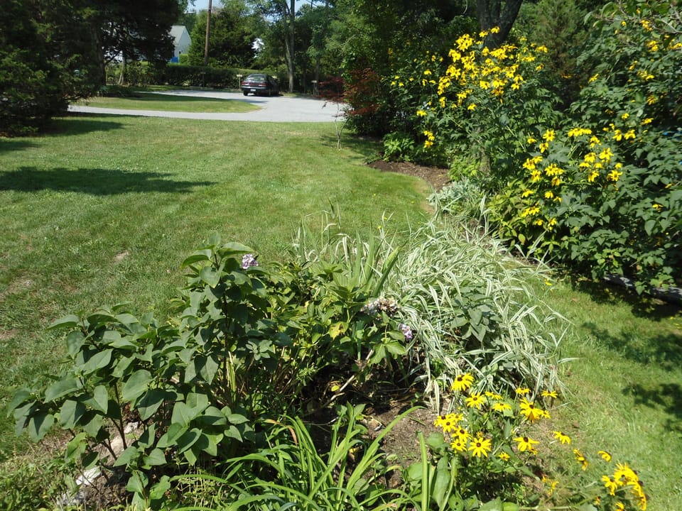 Beautiful lawns and gardens all around the almost acre property