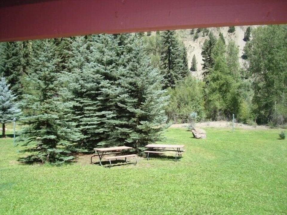 View from Deck