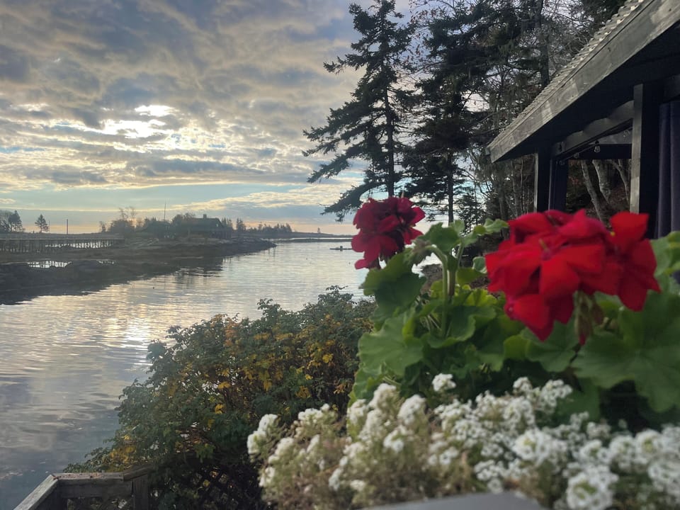 View from property