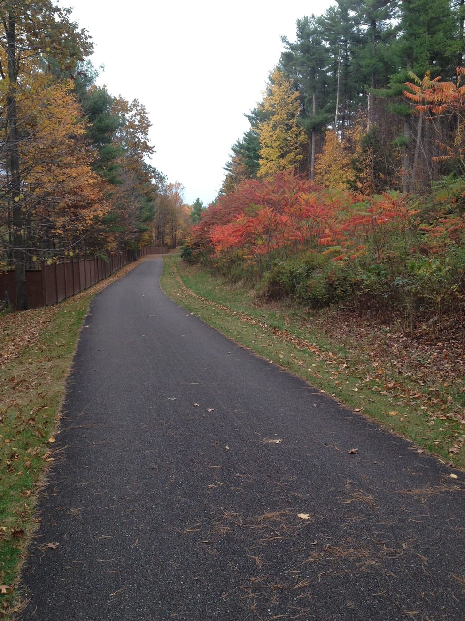Bike path view in the autumn