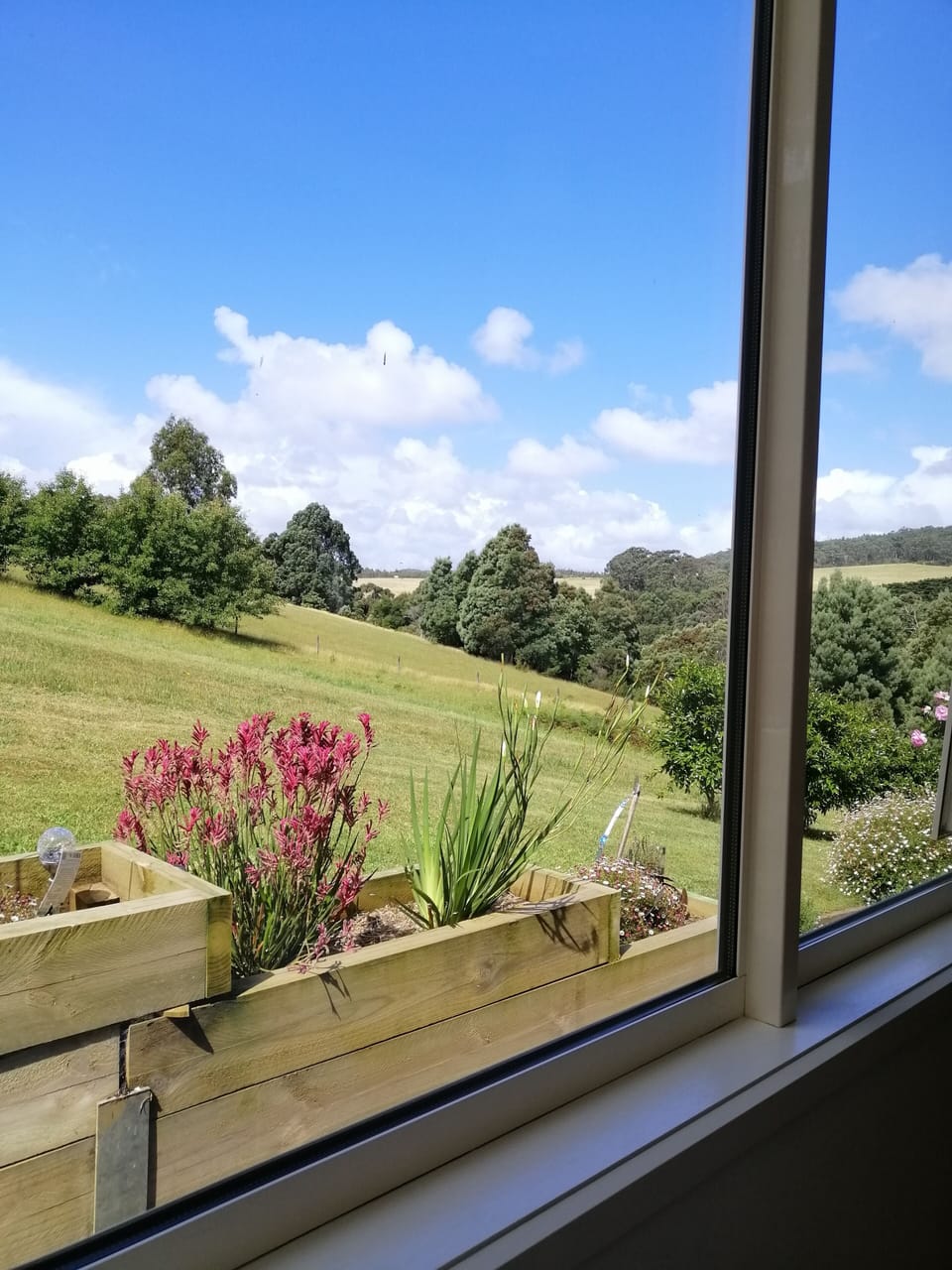 View from daybed window