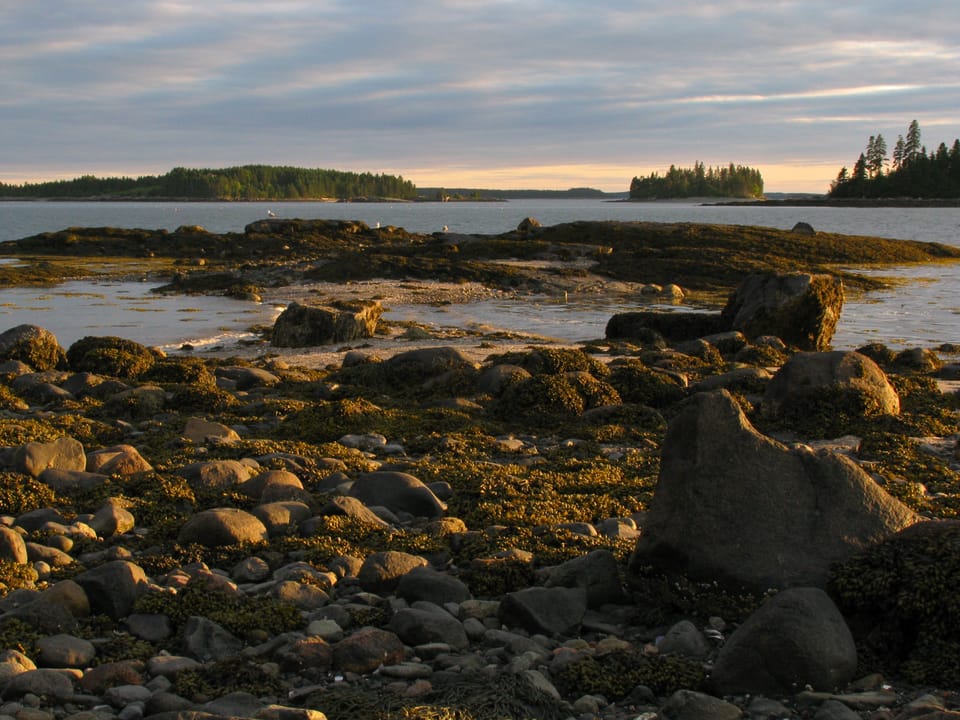 Nearby Cape Split is a beautiful place for walks. 