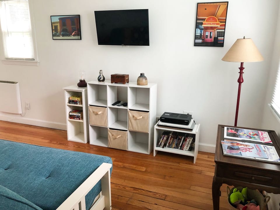 Den with TV and DVD player