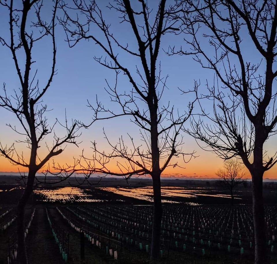 Sunset towards Medoc region.