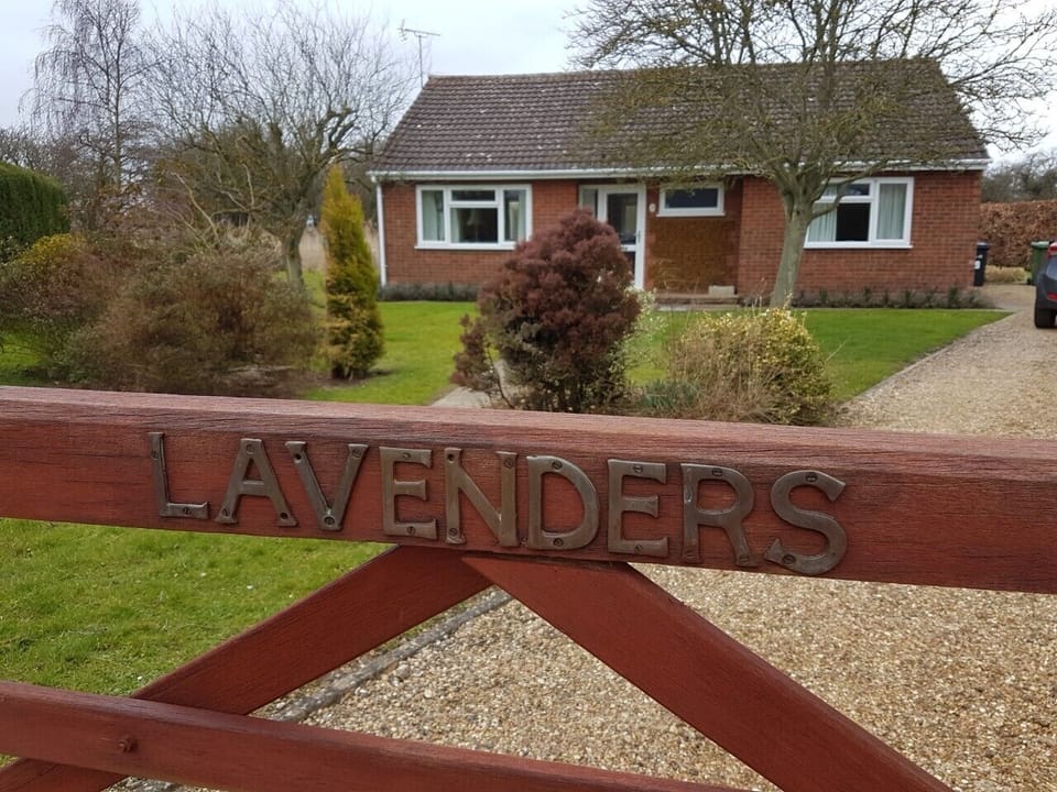 Lavenders