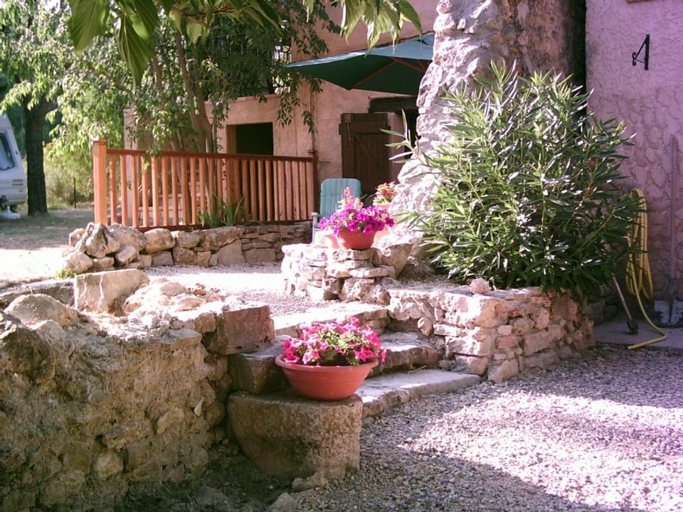 Olive pätio area
