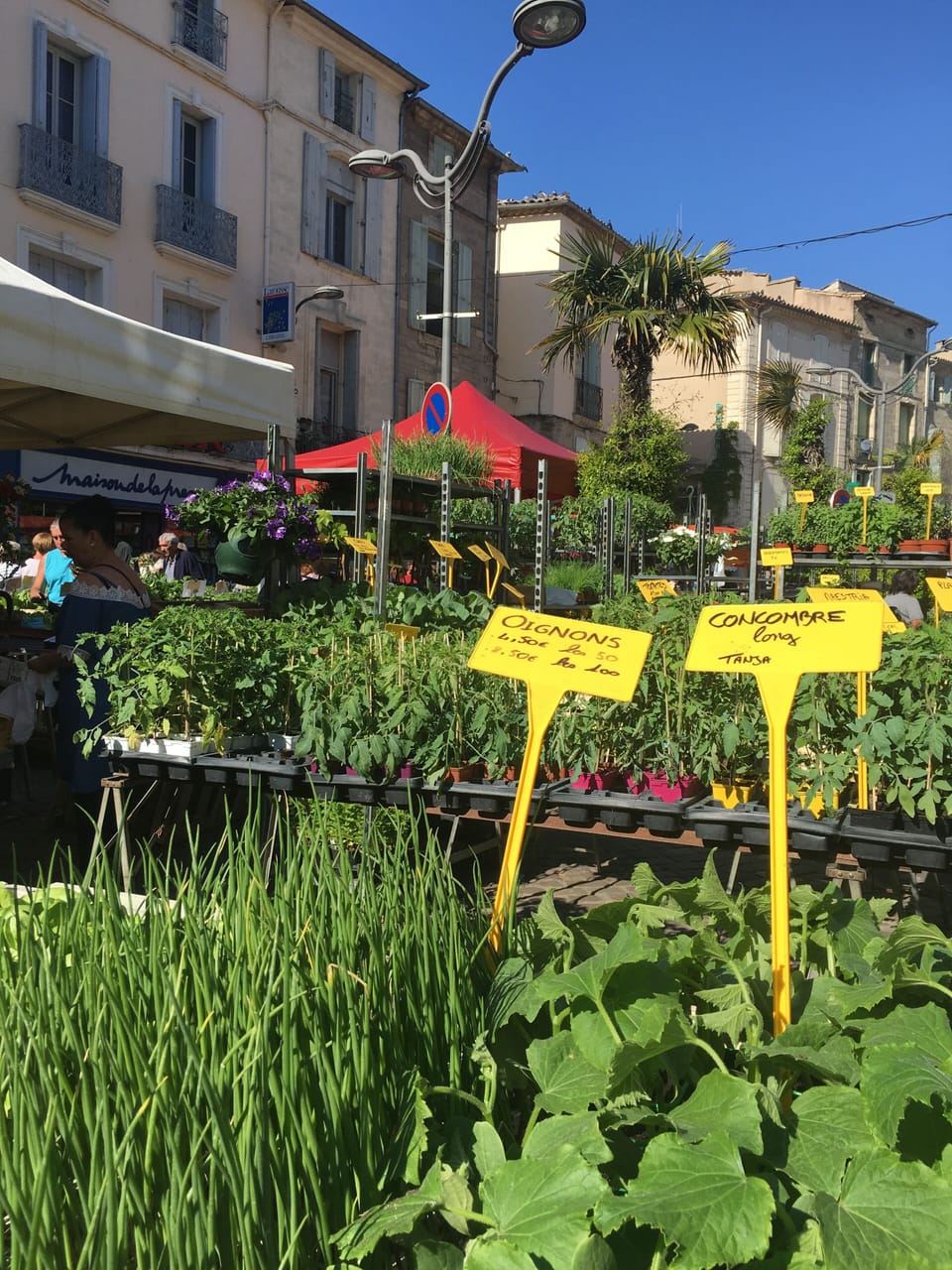 Pezenas Saturday market - 10 minutes away