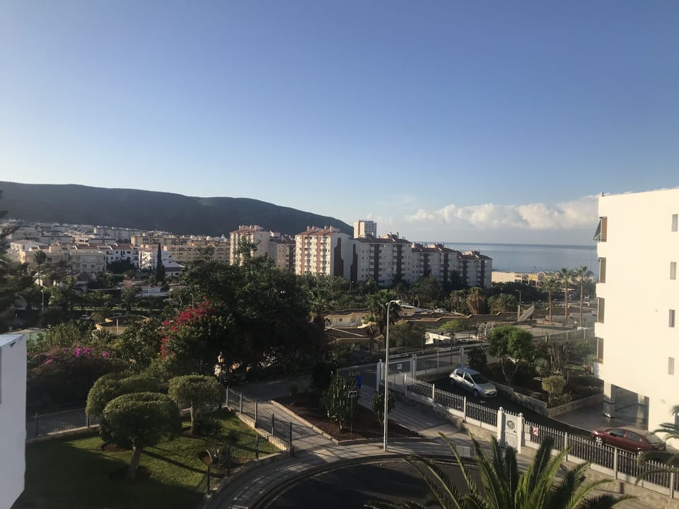 The View
