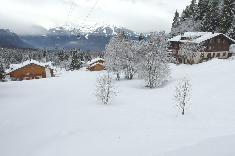 View from living-room