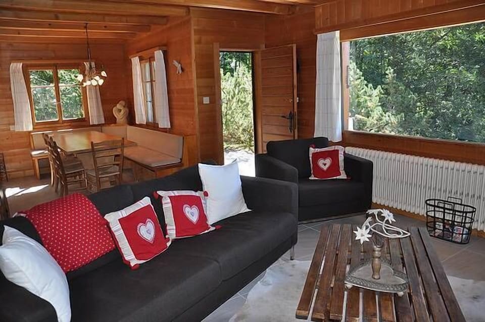 Living room and access to terrace