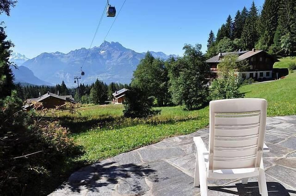 South view from terrace