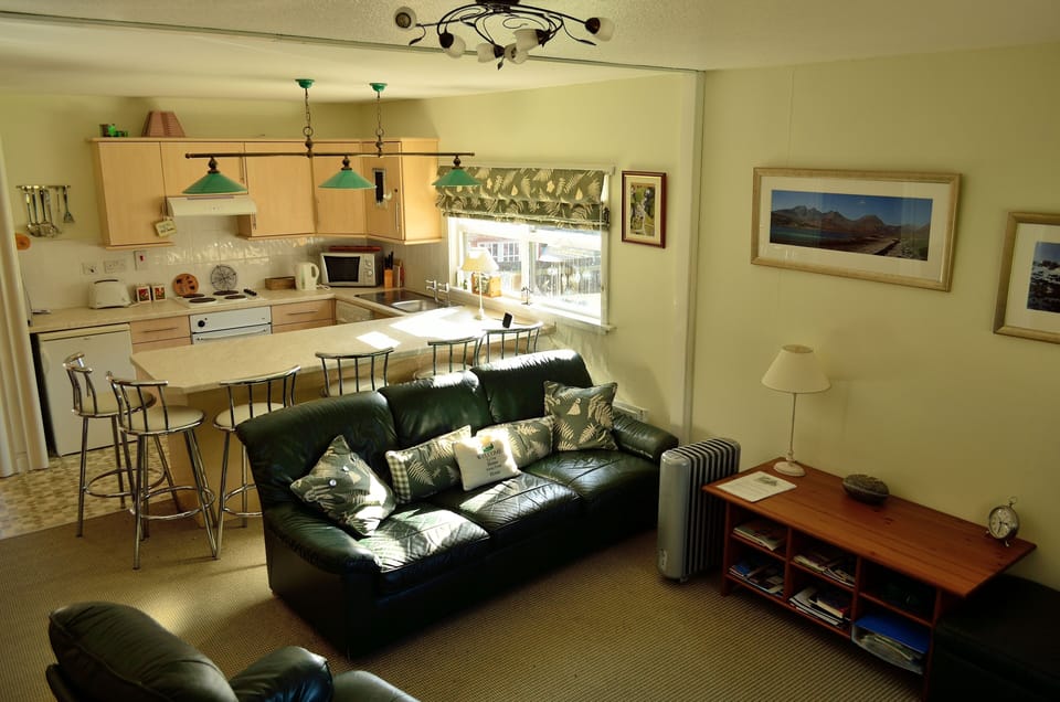 Living area and kitchen