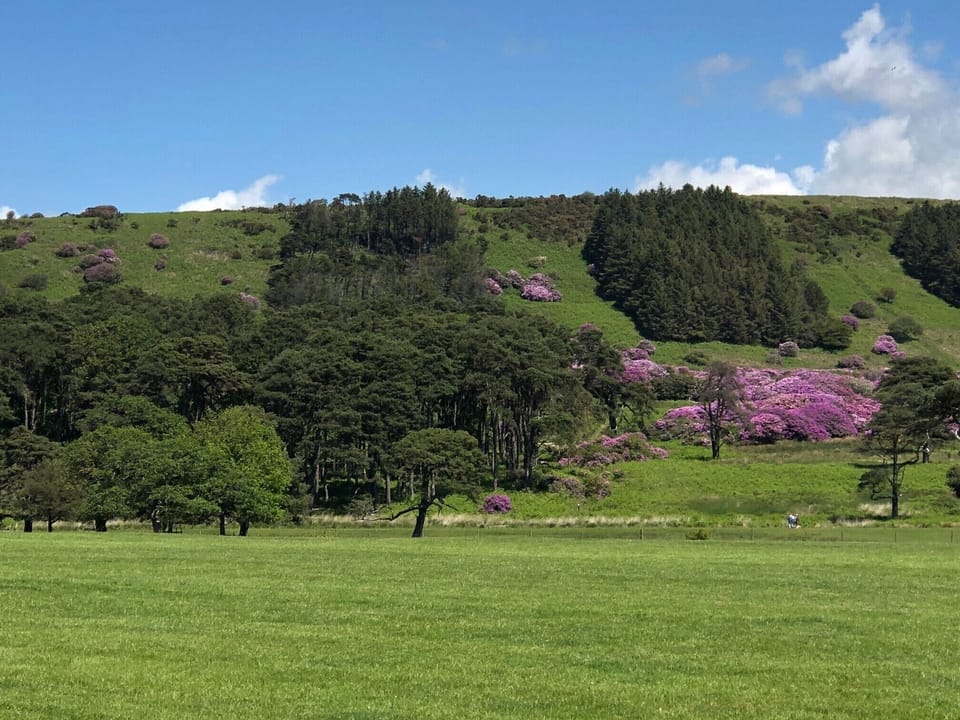 Margam Park (12 miles from Wick)